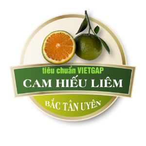 Trang-Trai-Viet-Thai